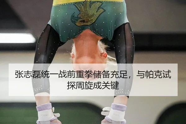 张志磊统一战前重拳储备充足，与帕克试探周旋成关键