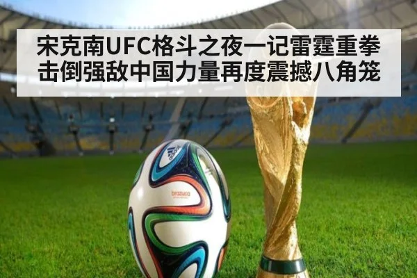 宋克南UFC格斗之夜一记雷霆重拳击倒强敌中国力量再度震撼八角笼